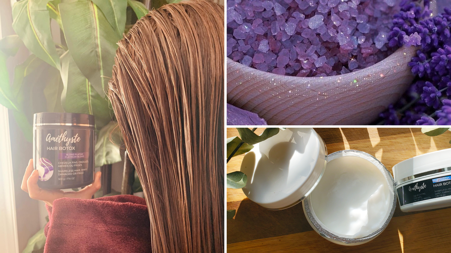 Sans titre (12).png (2)